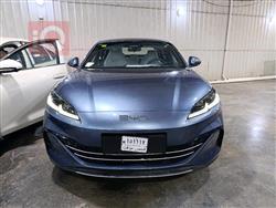 بي واي دي سيل 06 DM-i